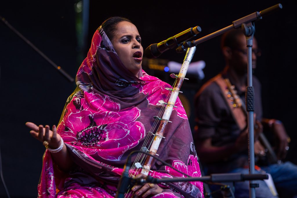 Noura Mint Seymali em concerto